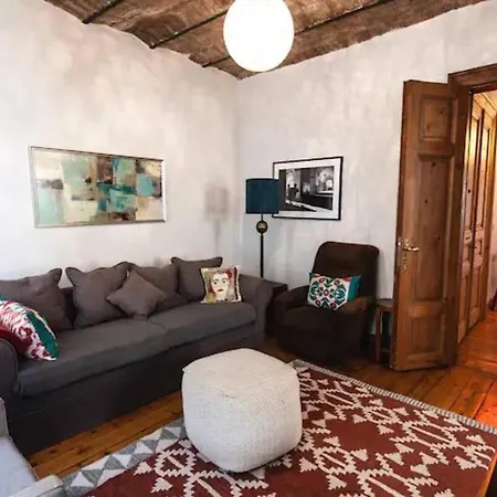 Historic Spacious Galata *
